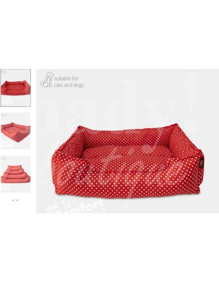 0346 Grossiste Turquie Petshop - 2