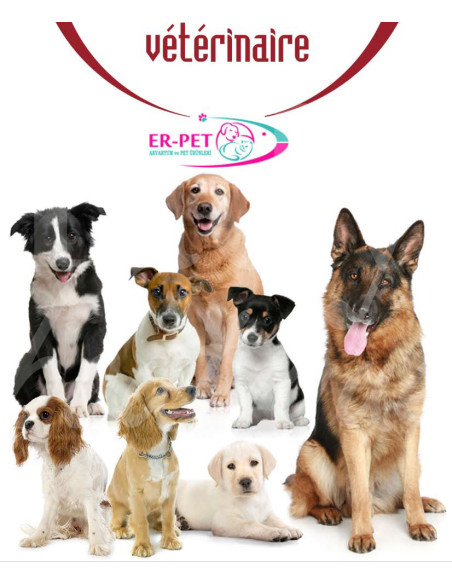 0348 Grossiste Turquie Petshop - 1