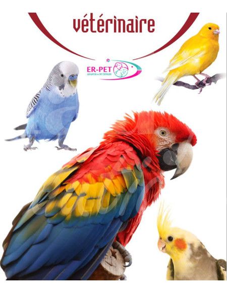 0348 Grossiste Turquie Petshop - 3