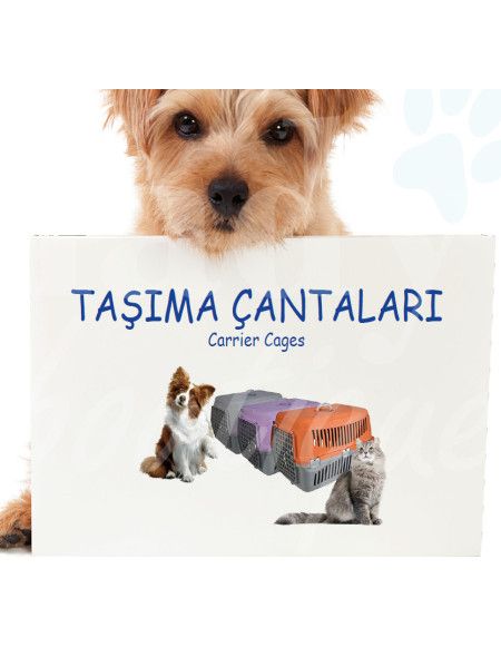 0349 Grossiste Turquie Petshop - 2