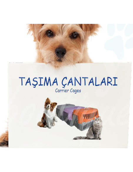 0349 Grossiste Turquie Petshop - 2