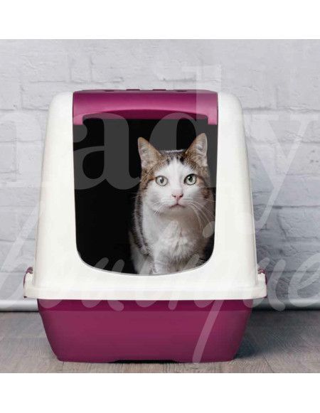 0350 Grossiste Turquie Animalerie - 3 0350 Grossiste Turquie Animalerie - 3