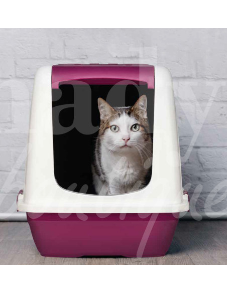 0350 Grossiste Turquie Animalerie - 3