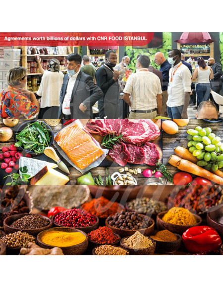Base de données Food & Packaging Grossiste Turquie Annuaire grossistes en Turquie - 2