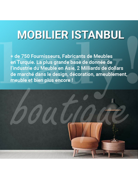 Base de données Mobilier & Meuble Grossiste Turquie Annuaire grossistes en Turquie - 1