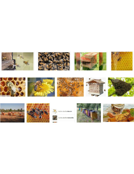 0477 Grossiste Turquie Agriculture - 2