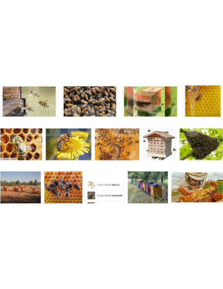 0477 Grossiste Turquie Agriculture - 2