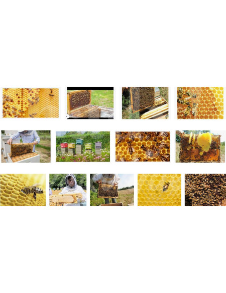 0477 Grossiste Turquie Agriculture - 3