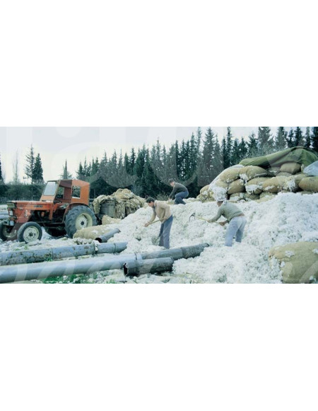 0518 Grossiste Turquie Agriculture - 3