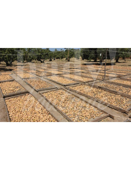 0519 Grossiste Turquie Agriculture - 2