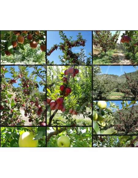 0524 Grossiste Turquie Food - 2