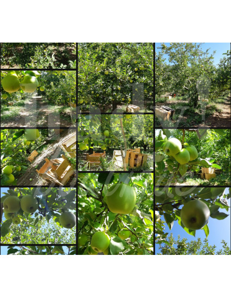 0524 Grossiste Turquie Food - 3