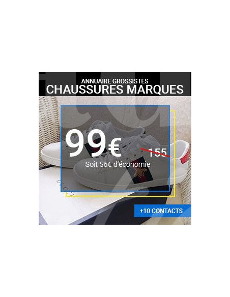 Base de données Chaussures Marques