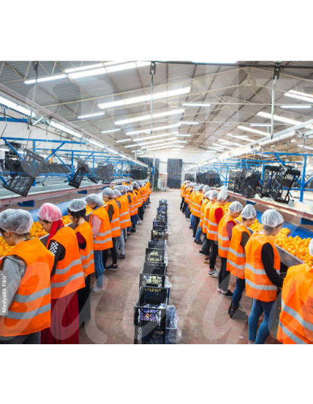 0567  Agriculture - 5