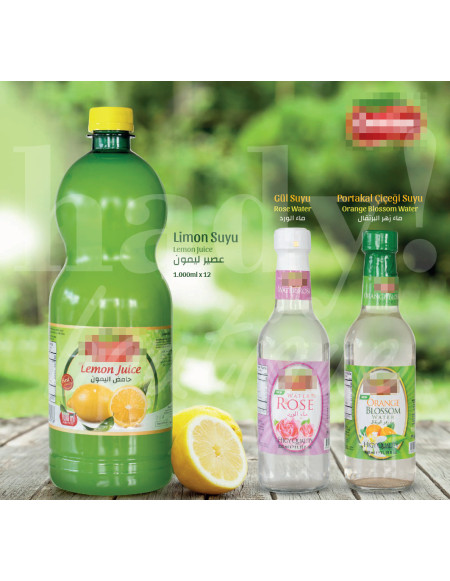 0570  Alimentaire - 5