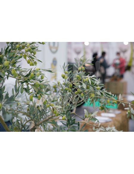 base de donnée alimentaire et cosmetique biologique Grossiste Turquie Annuaire grossistes en Turquie - 5