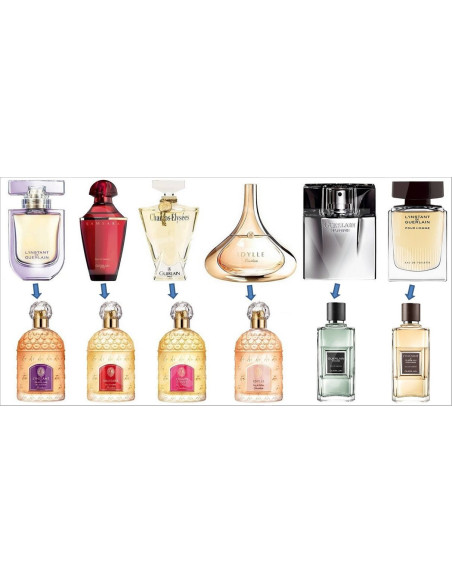 0663 Grossiste Turquie Perfume - 4