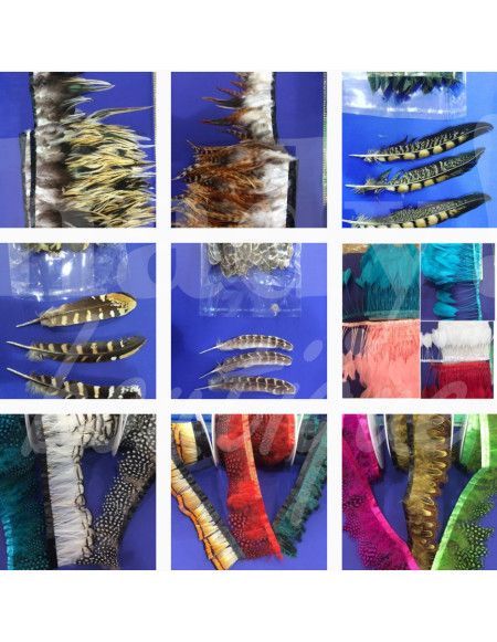 0309 Grossiste Turquie haberdashery - 3